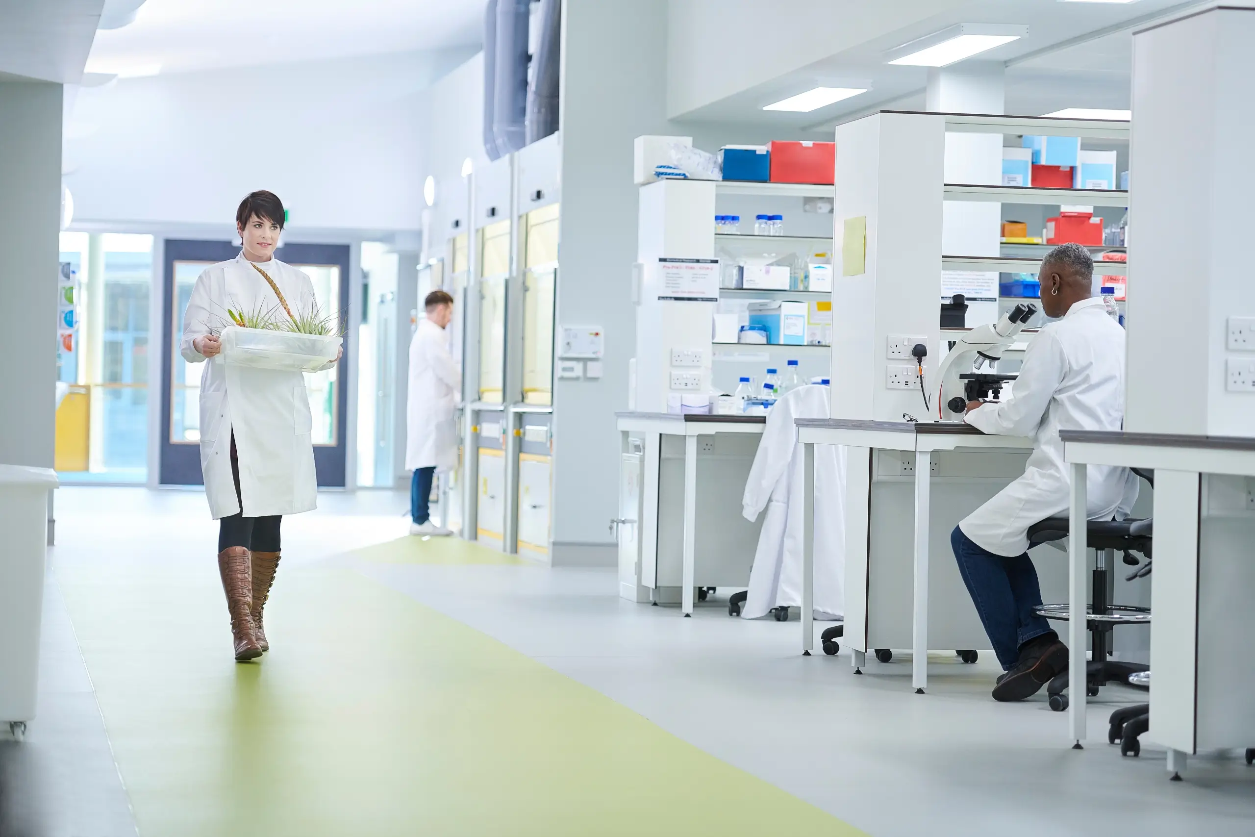 20 Lab Safety Rules and Hazards You Need to Know